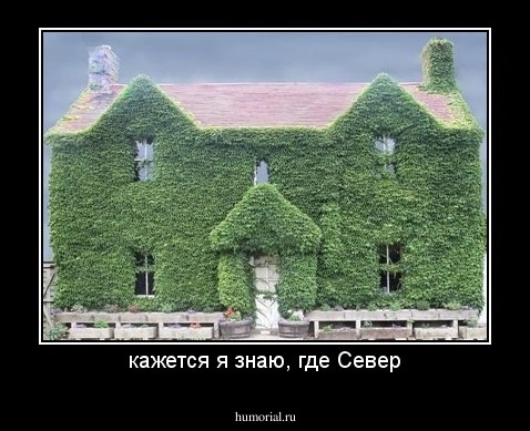 кажется я знаю, где Север