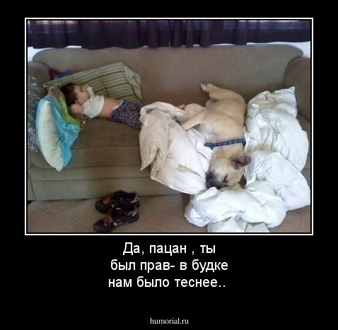 Да, пацан , ты был прав- в будке нам было теснее..