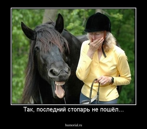 Так, последний стопарь не пошёл...