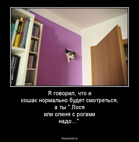 Я говорил, что и кошак нормально будет смотреться, а ты " Лося или оленя с рогами надо..."