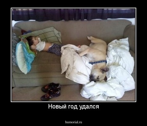 Новый год удался