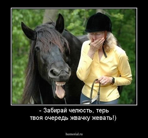 - Забирай челюсть, терь твоя очередь жвачку жевать!)