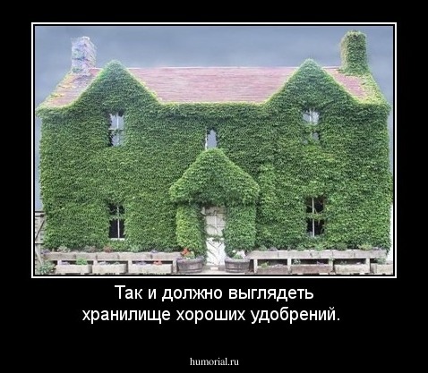 Так и должно выглядеть хранилище хороших удобрений.