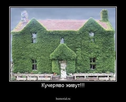 Кучеряво живут!!!