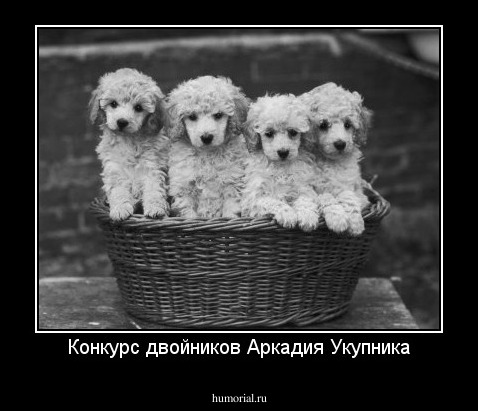 Конкурс двойников Аркадия Укупника