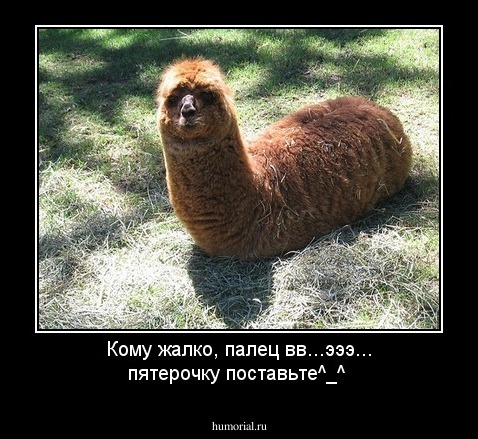 Кому жалко, палец вв...эээ... пятерочку поставьте^_^