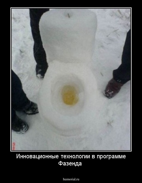 Инновационные технологии в программе Фазенда