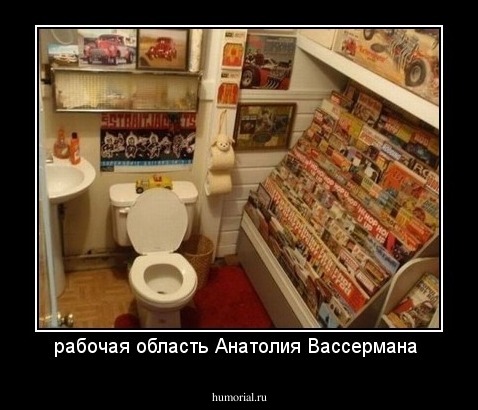 рабочая область Анатолия Вассермана