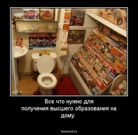 Все что нужно для получения высшего образования на дому.