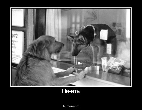 Пи-ить