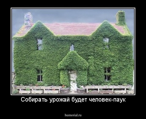 Собирать урожай будет человек-паук