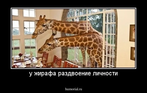 у жирафа раздвоение личности