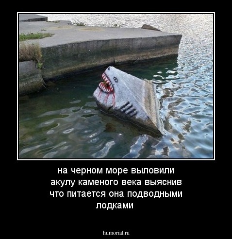 на черном море выловили акулу каменого века выяснив что питается она подводными лодками