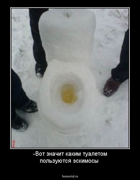 -Вот значит каким туалетом пользуются эскимосы