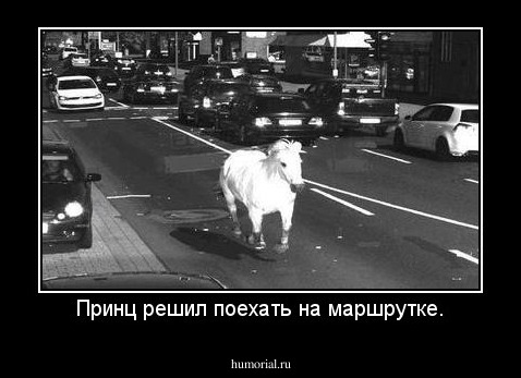 Принц решил поехать на маршрутке.