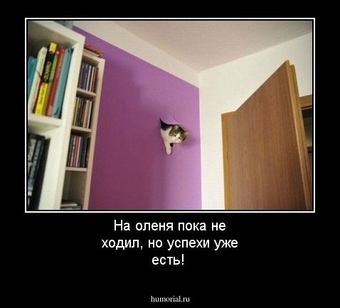 На оленя пока не ходил, но успехи уже есть!