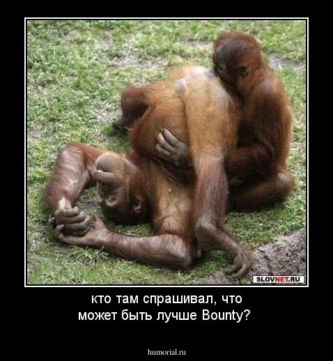 кто там спрашивал, что может быть лучше Bounty?