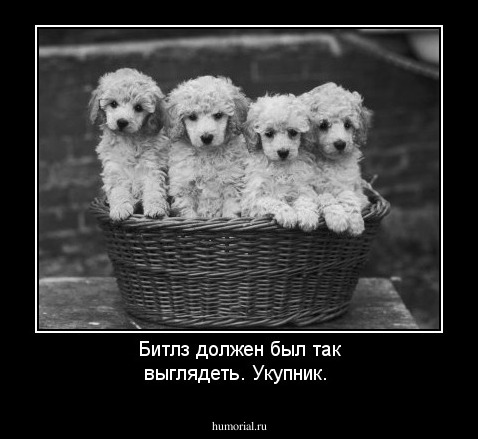 Битлз должен был так выглядеть. Укупник.