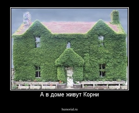 А в доме живут Корни