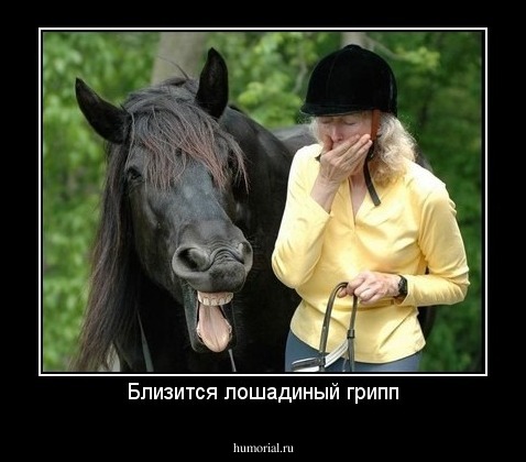 Близится лошадиный грипп