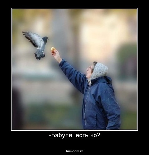 -Бабуля, есть чо?