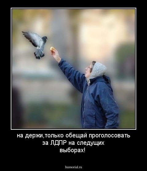 на держи,только обещай проголосовать за ЛДПР на следущих выборах!