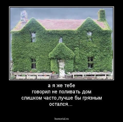 а я же тебе говорил не поливать дом слишком часто,лучше бы грязным остался...