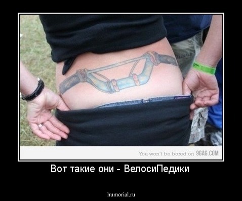 Вот такие они - ВелосиПедики 