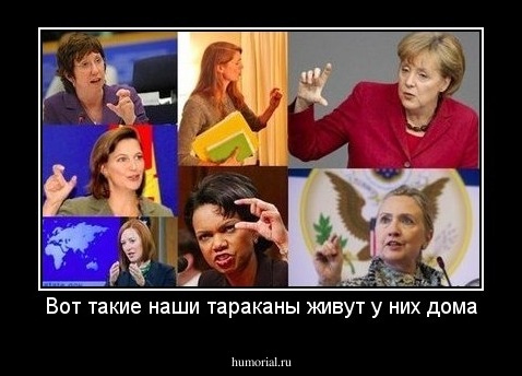 Вот такие наши тараканы живут у них дома