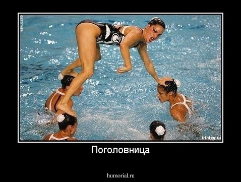 Поголовница
