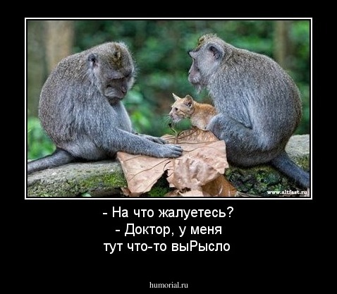 - На что жалуетесь? - Доктор, у меня тут что-то выРысло
