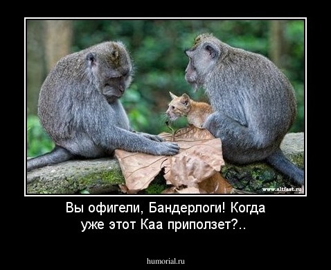Вы офигели, Бандерлоги! Когда уже этот Каа приползет?..