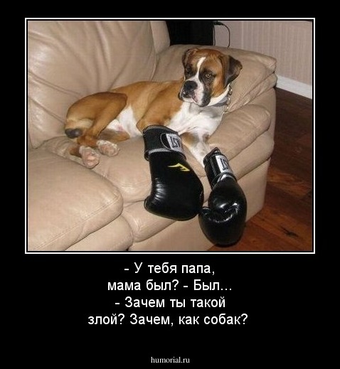 - У тебя папа, мама был?
- Был...
- Зачем ты такой злой? Зачем, как собак?