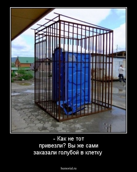 - Как не тот привезли? Вы же сами заказали голубой в клетку