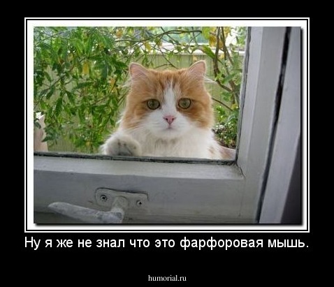 Ну я же не знал что это фарфоровая мышь.