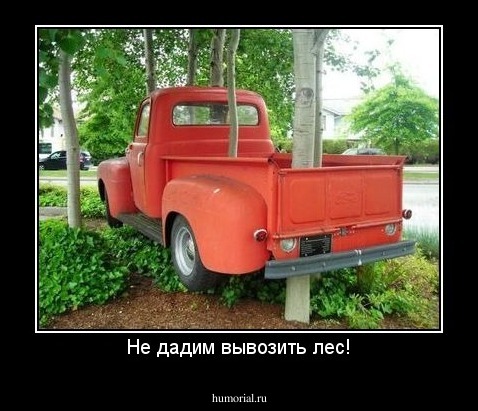 Не дадим вывозить лес!
