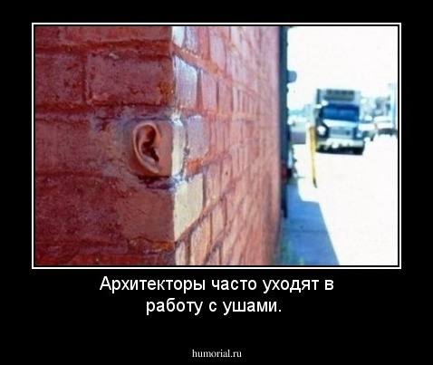 Архитекторы  часто уходят  в  работу  с  ушами.