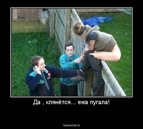 Да , клянётся... ежа пугала!
