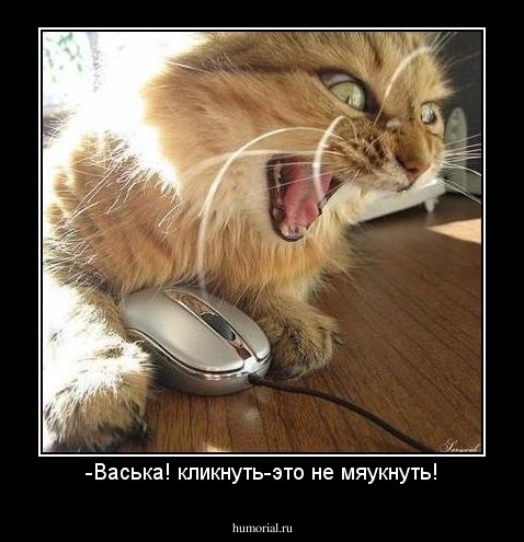 -Васька! кликнуть-это не мяукнуть!