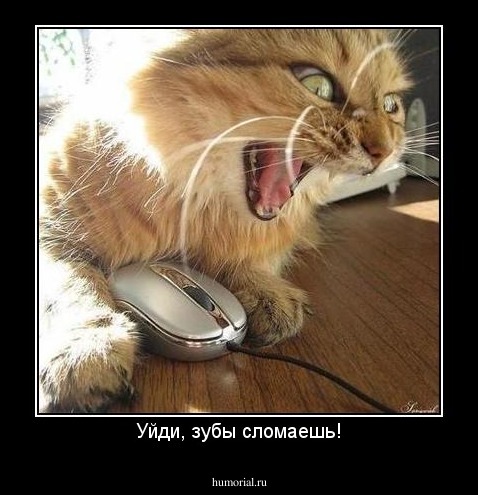Уйди, зубы сломаешь!