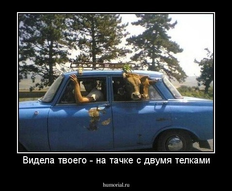 Видела твоего - на тачке с двумя телками