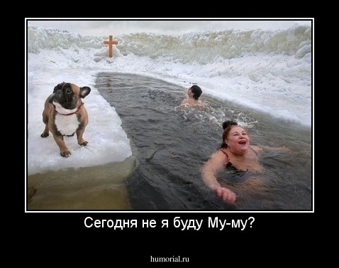 Сегодня не я буду Му-му?