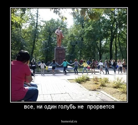 все, ни один голубь не  прорвется