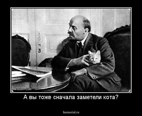 А вы тоже сначала заметели кота?