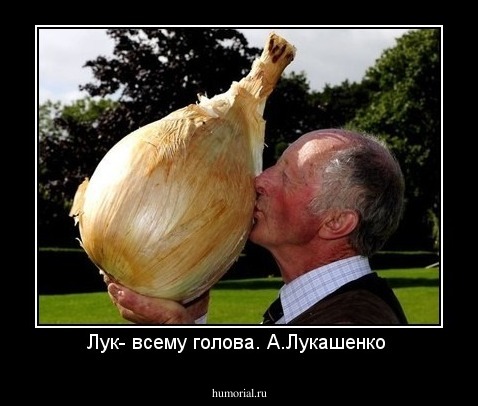 Лук- всему голова.
                 А.Лукашенко