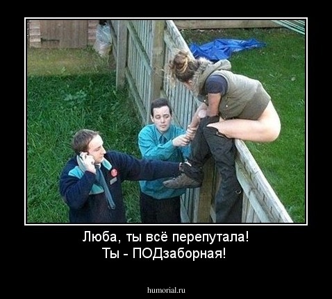 Люба, ты всё перепутала! Ты - ПОДзаборная!