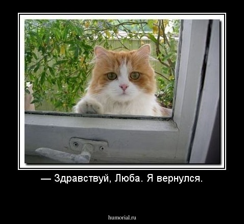 — Здравствуй, Люба. Я вернулся.

