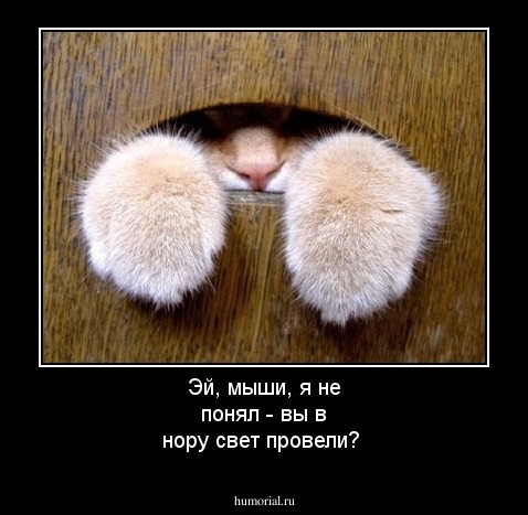 Эй, мыши, я не понял - вы в нору свет провели?