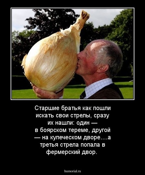 Старшие братья как пошли искать свои стрелы, сразу их нашли: один — в боярском тереме, другой — на купеческом дворе....а третья стрела попала в фермерский двор.