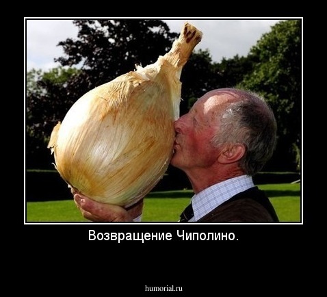 Возвращение Чиполино.
